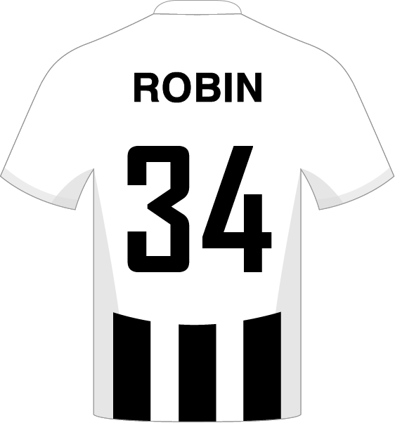 #34 Robin